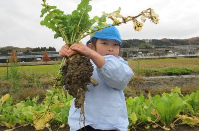 食育活動　冬　